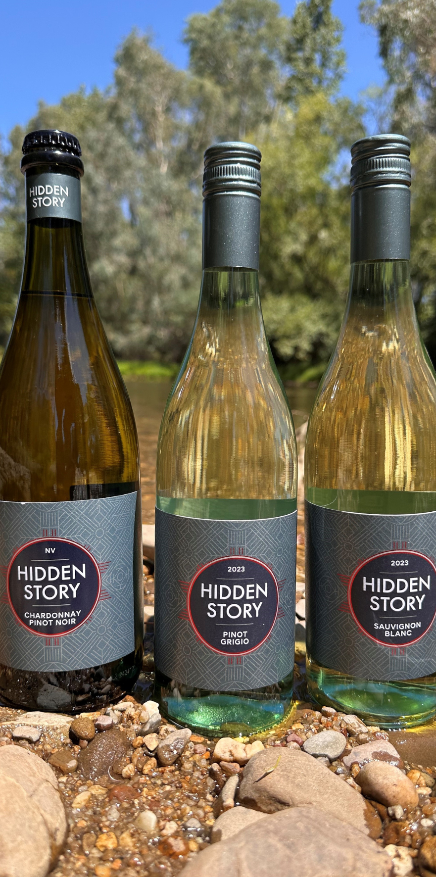 Discover our Hidden Story - 12 Pack